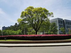 -同济大学(嘉定校区)