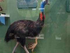 -国家自然博物馆