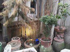 -古董花园(思南路42弄小区店)