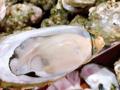 -蚝哥花姐湛江烤生蚝(美丽湾市场店)