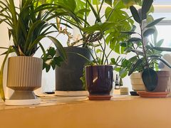 -fishtank鱼缸咖啡(三山街店)