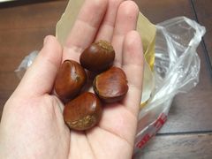 -鑫鑫栗王(吉祥商城店)