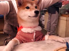 -the rug 飞毯 (朝阳公园店)