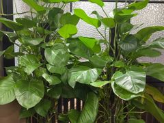 -天禧(西溪店)