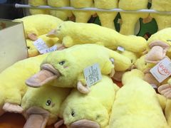 -小象猛犸(炫地购物中心店)