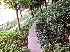 景点-北外滩滨江绿地
