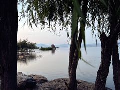 -洱海月湿地公园