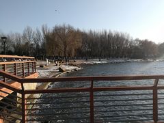 -丁香湖公园