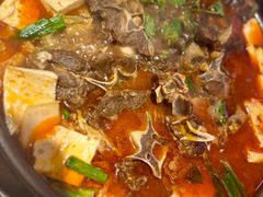 -杨氏青龙虾·羊蝎子(托乐嘉店)