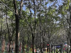 -草根堂农场