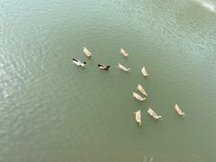 -东钱湖旅游度假区