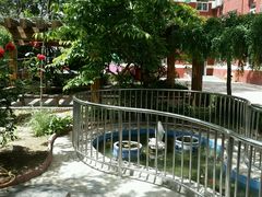 游乐区-金雁飞鸣双语幼儿园