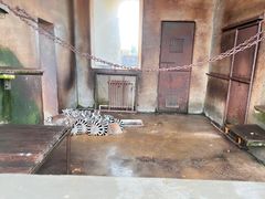 -秦皇岛野生动物园