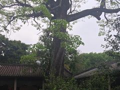 -南海神庙