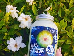 -新时沏奶茶(瑞安马屿店)