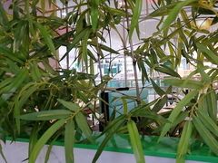 -麻辣空间·清油火锅(万达广场店)