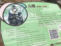 -大连森林动物园