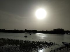 -大兴滨河森林公园