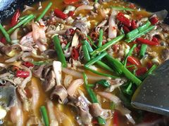 -鹏林天龙鸡杂