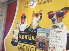 -神采飞扬宠物美容(香港路店)