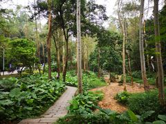 -火炉山森林公园