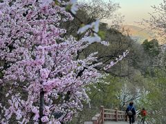 -香山公园