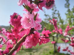 -北京金海湖景区