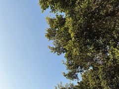 -华侨公园