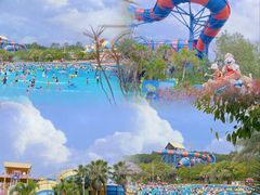 -美的鹭湖探索王国