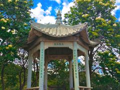 -北京鹫峰国家森林公园