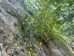 -塔云山