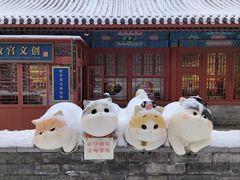 -故宫博物院(故宫)