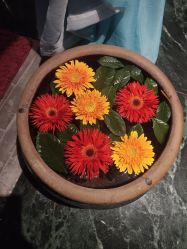 -琦品高端美容SPA私佳美场