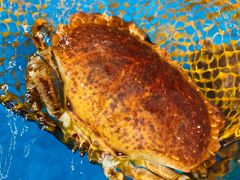 -盒马鲜生(曜一城店)