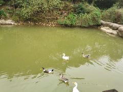 -梦娜斯庄园