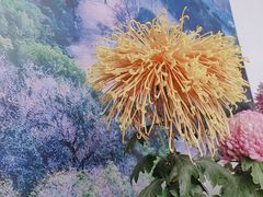 -杭州植物园
