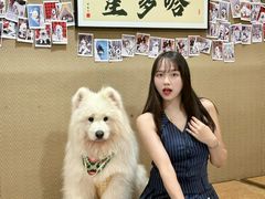 -星多哈·狗咖·拼豆·咖啡