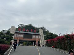 -白云山风景名胜区