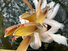 -水上乐园·欢乐世界