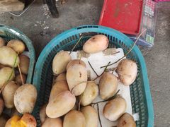 -羊栏农贸市场(羊新路店)