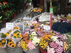 -循礼门鲜花花市(武汉循礼门店)