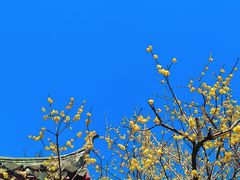 -镇南锅盖面馆(解放路店)