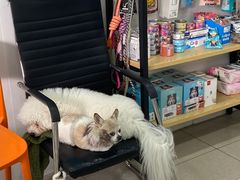 -佳雯宠物医院·皮肤科·内外科(春晓路分院)