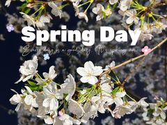 -西北湖绿化广场