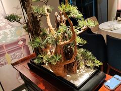 -顺峰(农展馆店)