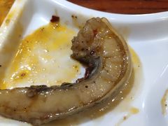 -齐祺鱼锅.清真(兰考店)