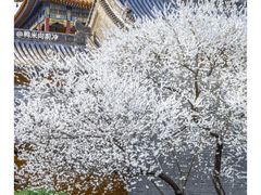 -雍和宫