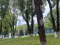 -重庆市江北嘴中央商务区中央公园