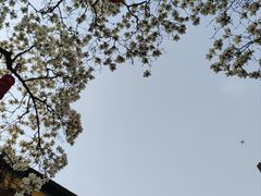 -杭州上天竺法喜讲寺