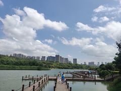 -广西壮族自治区药用植物园